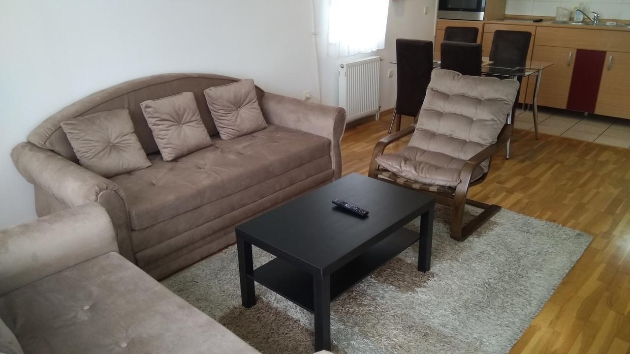 Jelena Lägenhet Novi Sad